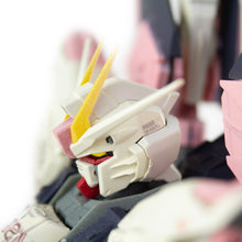 Load image into Gallery viewer, NOT FREEDOM GUNDAM (ZGMF-X10A) 1:100 MODEL
