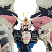 Load image into Gallery viewer, NOT FREEDOM GUNDAM (ZGMF-X10A) 1:100 MODEL
