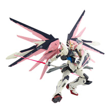 Load image into Gallery viewer, NOT FREEDOM GUNDAM (ZGMF-X10A) 1:100 MODEL
